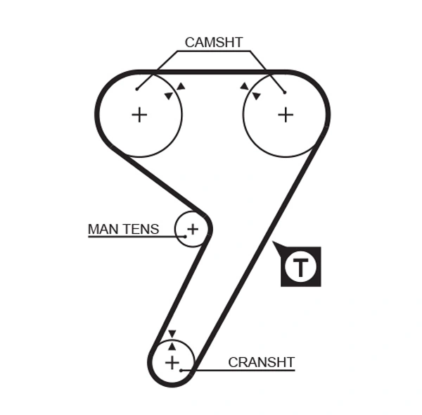 Timing Belt