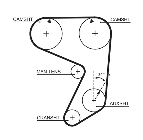 Timing Belt