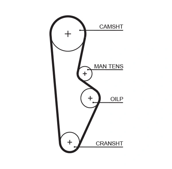 Timing Belt