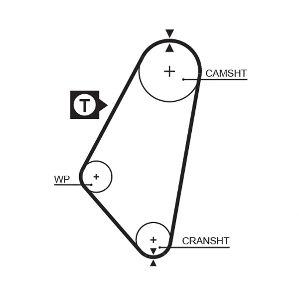 Timing Belt