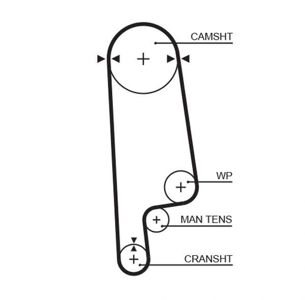 Timing Belt