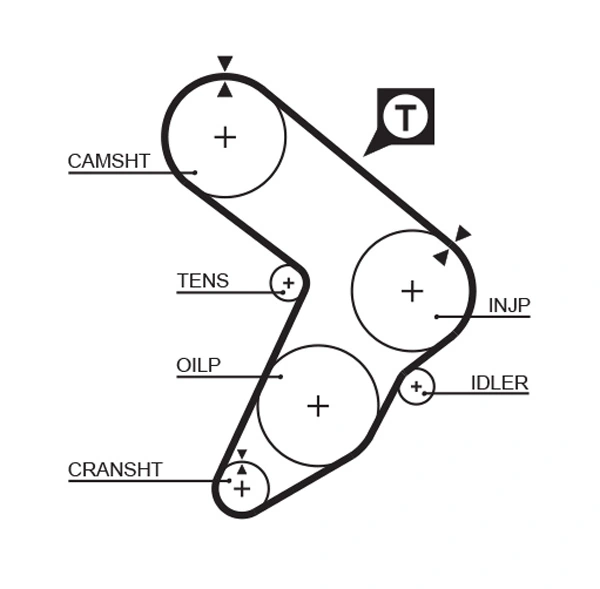 Timing Belt