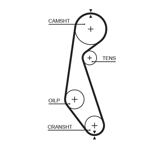 Timing Belt