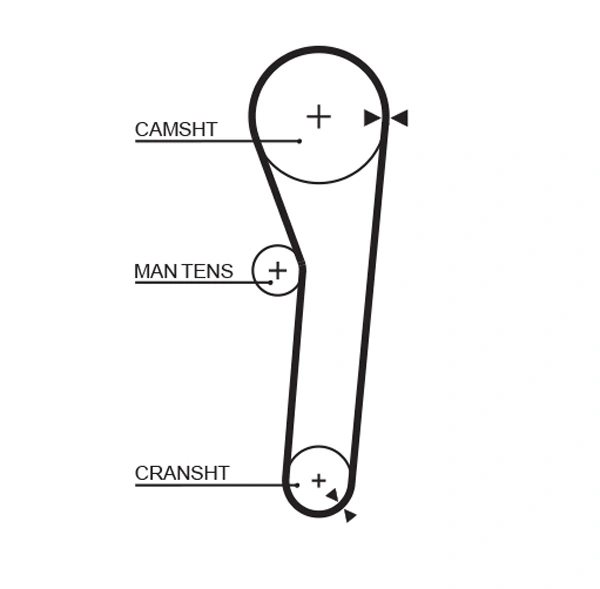 Timing Belt