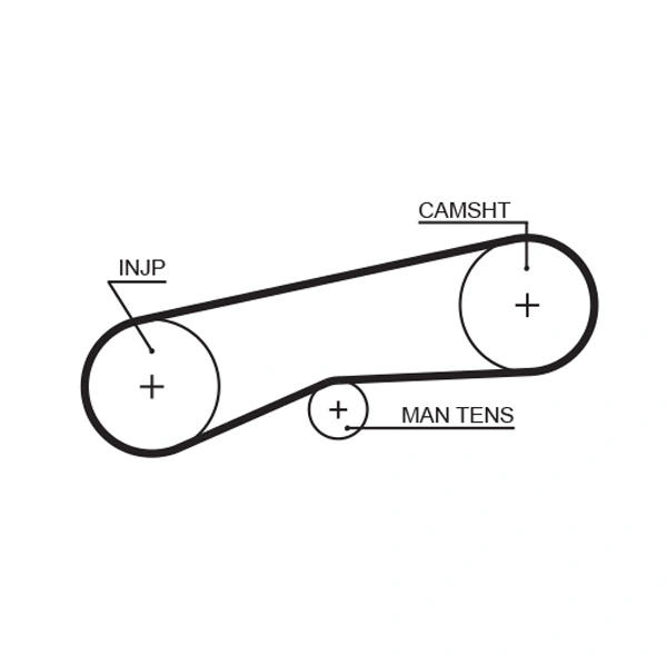 Timing Belt