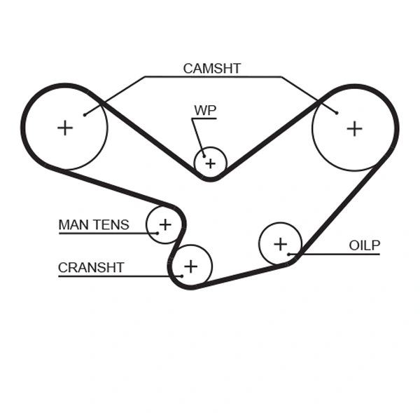 Timing Belt