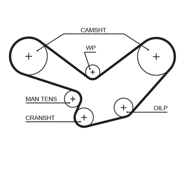 Timing Belt