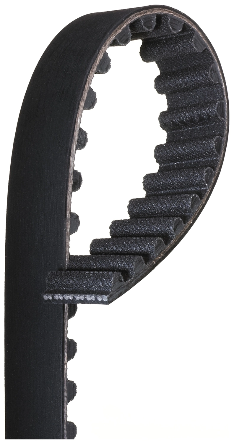 Timing Belt