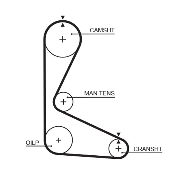 Timing Belt