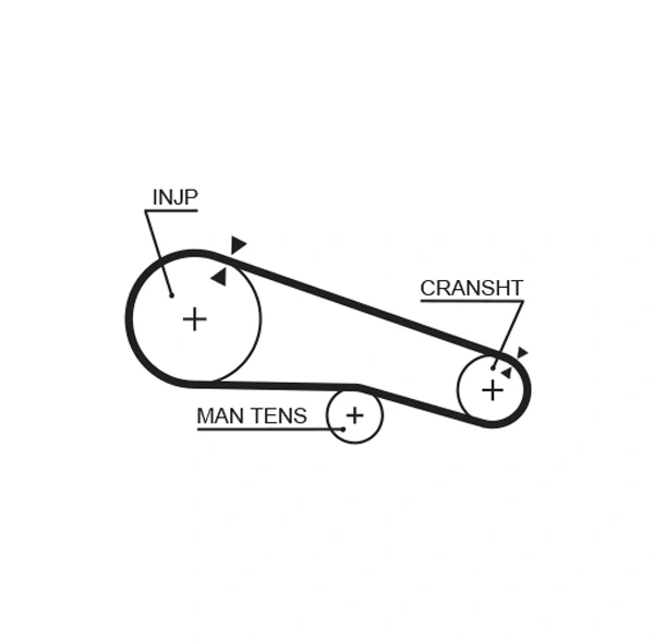Timing Belt