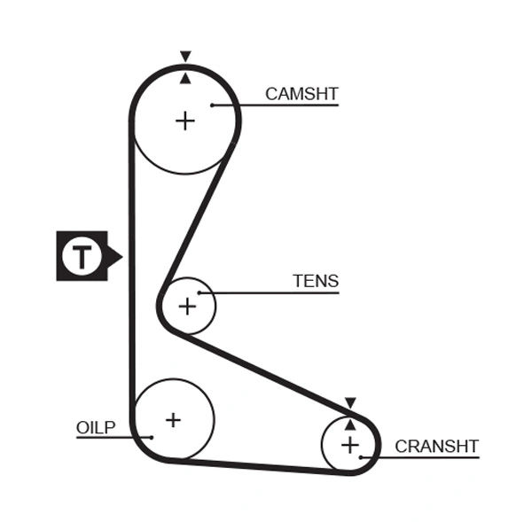 Timing Belt