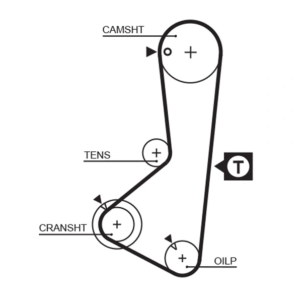 Timing Belt