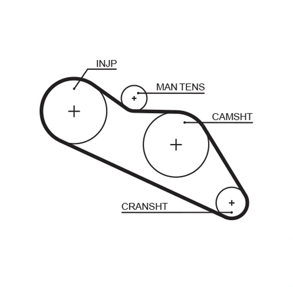 Timing Belt