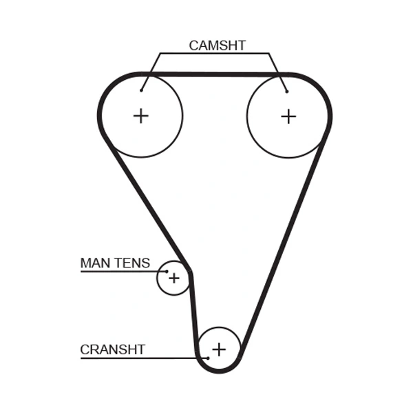 Timing Belt