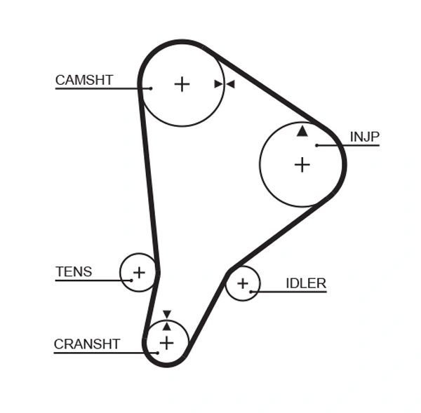 Timing Belt