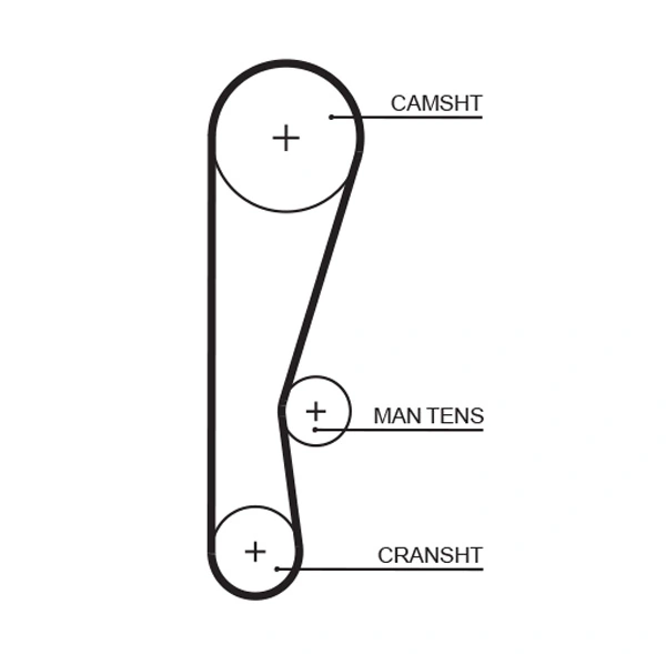 Timing Belt