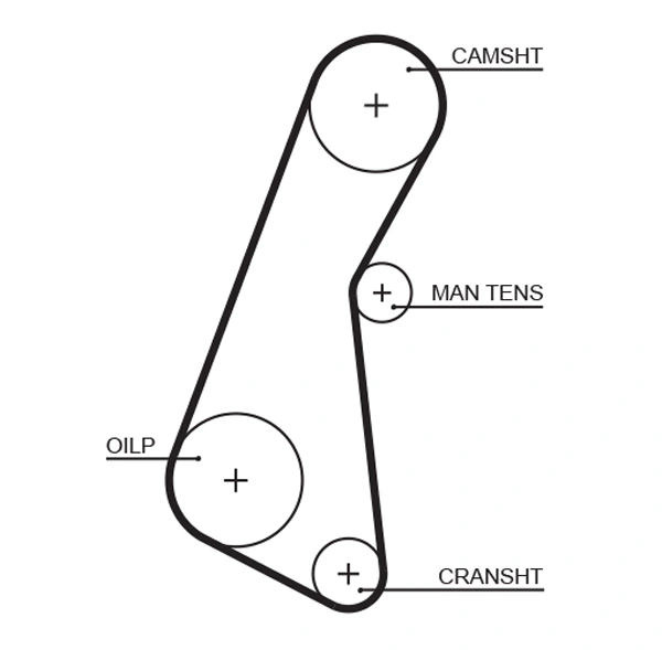 Timing Belt