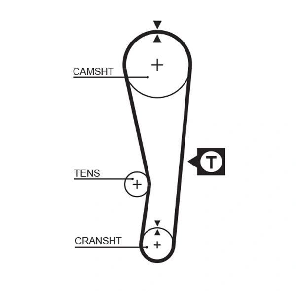 Timing Belt
