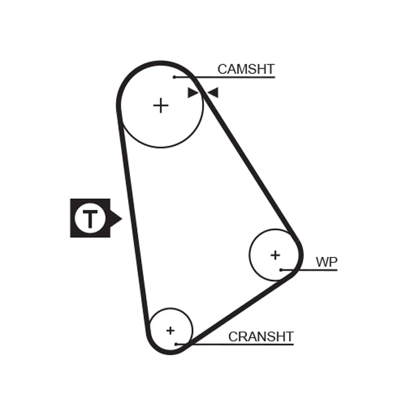 Timing Belt