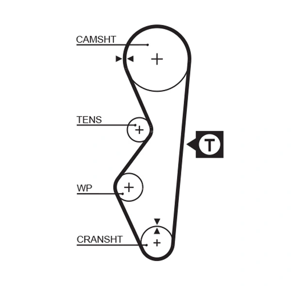 Timing Belt