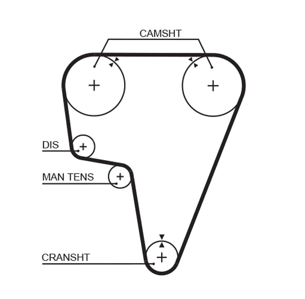 Timing Belt