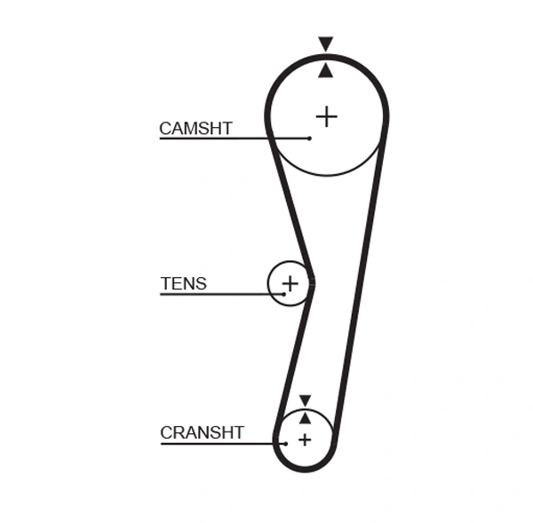 Timing Belt
