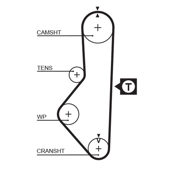 Timing Belt