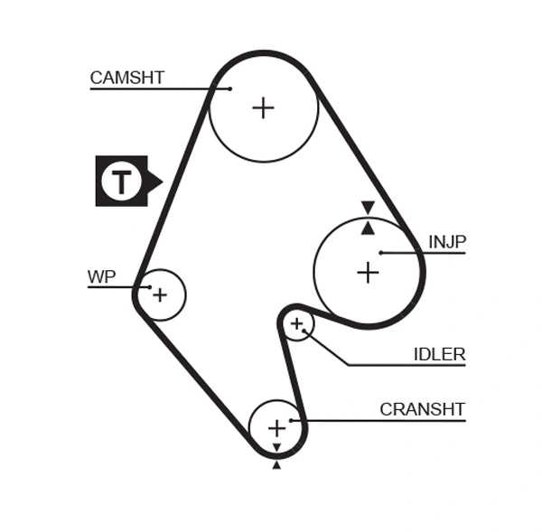 Timing Belt