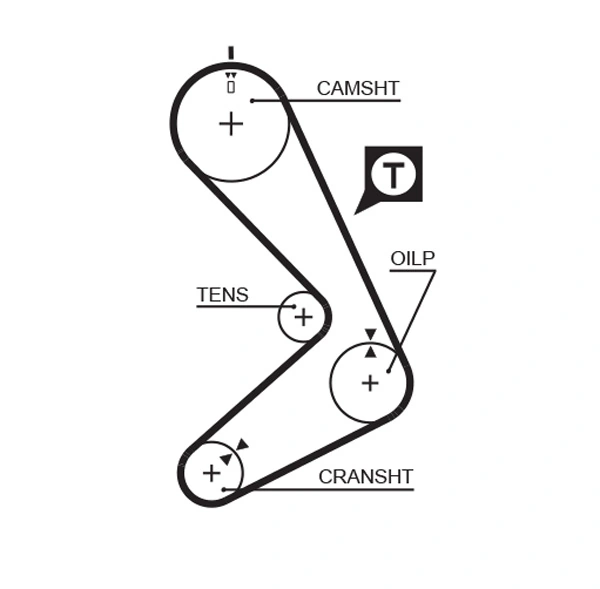 Timing Belt