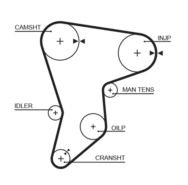 Timing Belt