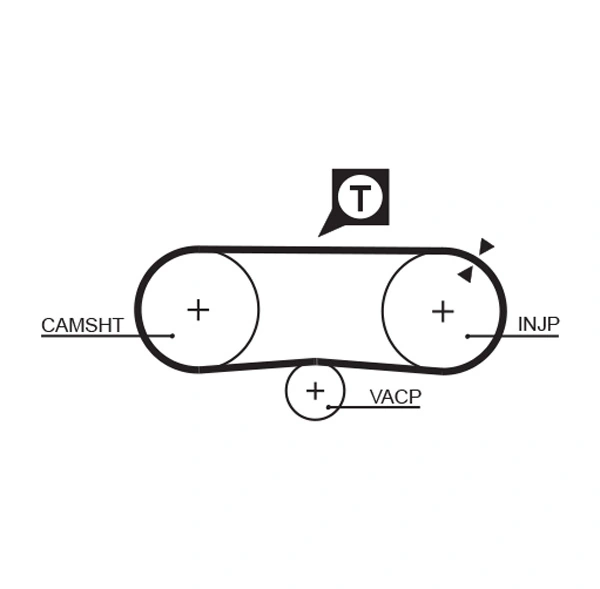 Timing Belt