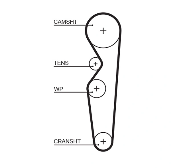 Timing Belt