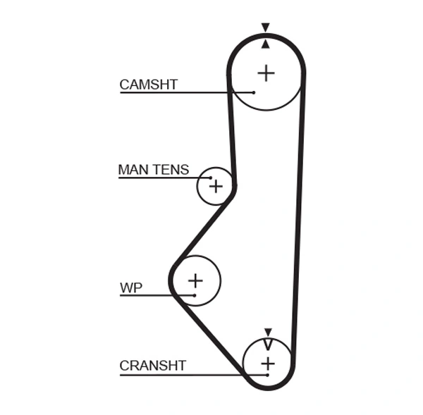 Timing Belt