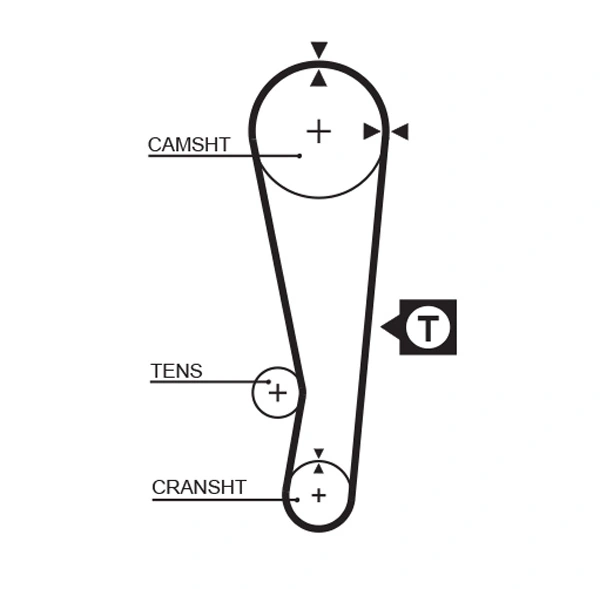 Timing Belt
