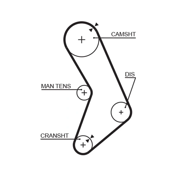 Timing Belt
