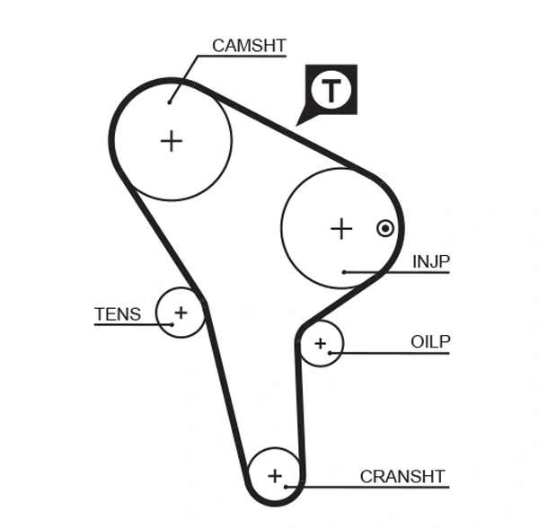 Timing Belt
