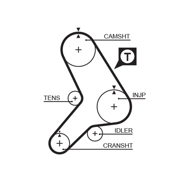 Timing Belt
