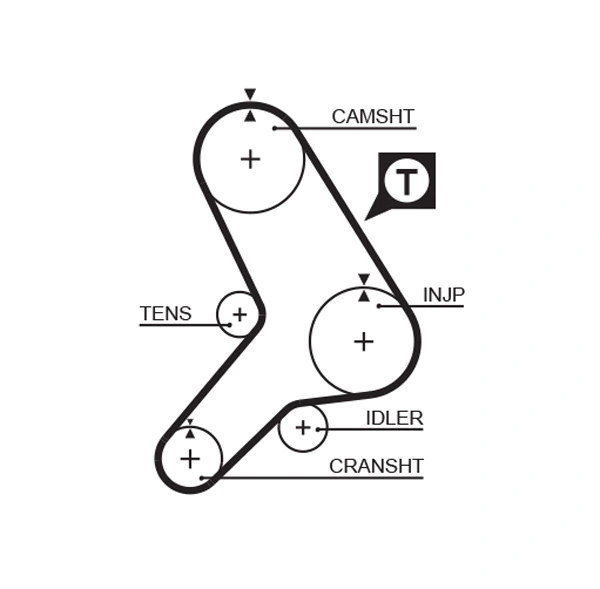 Timing Belt