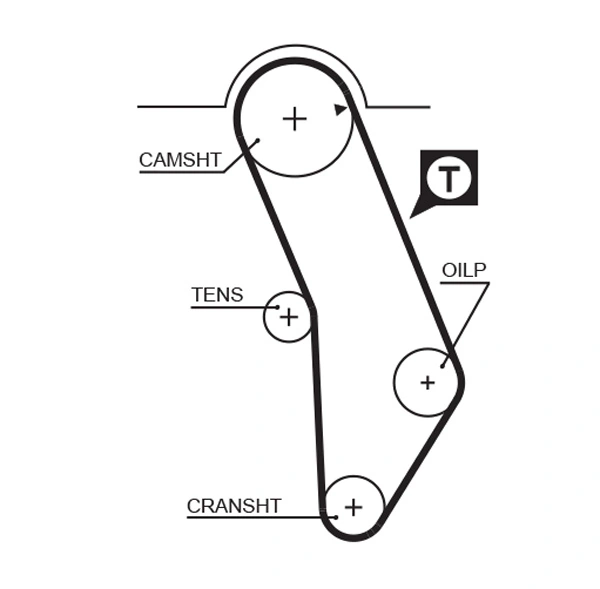 Timing Belt