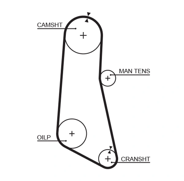 Timing Belt