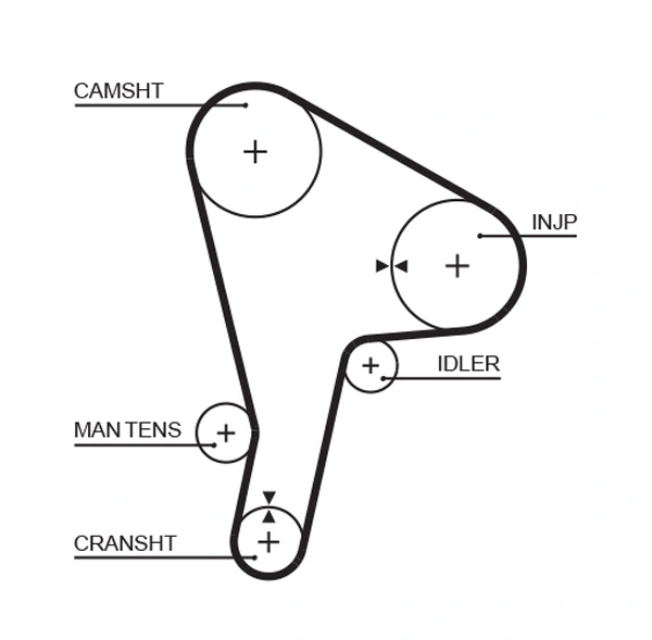 Timing Belt