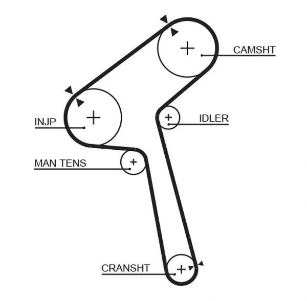 Timing Belt