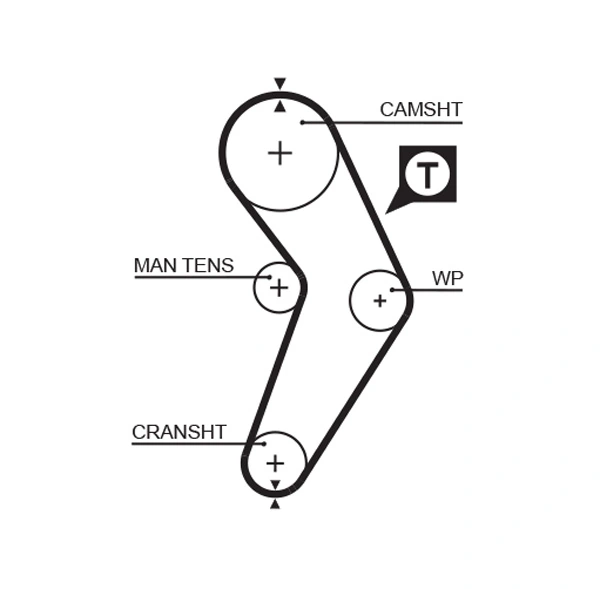 Timing Belt