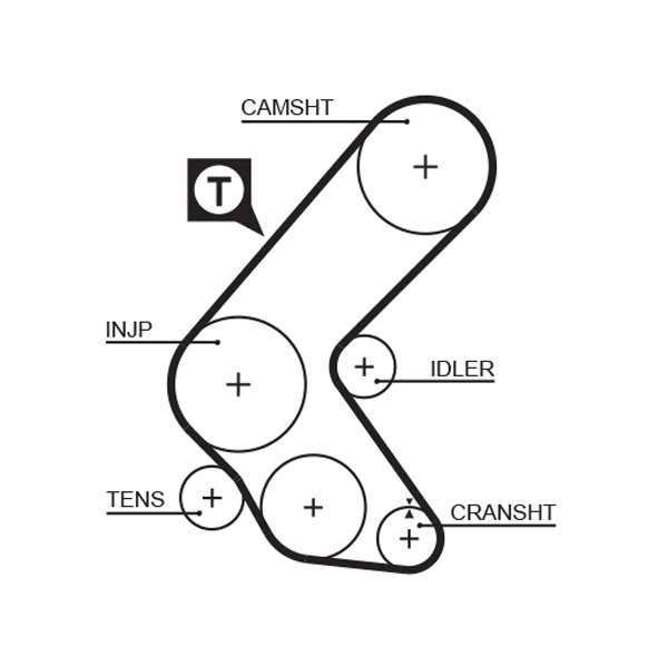 Timing Belt