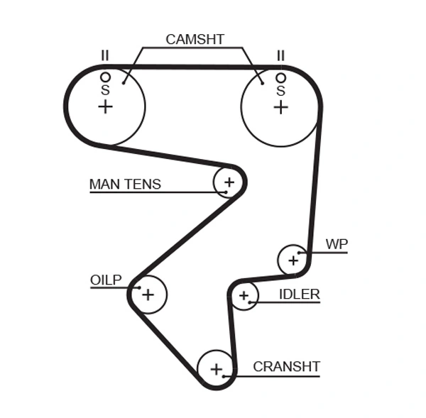 Timing Belt