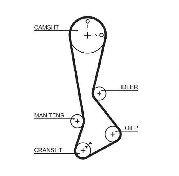 Timing Belt