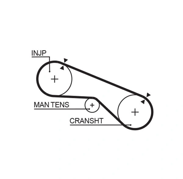 Timing Belt