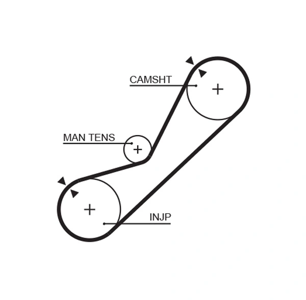 Timing Belt