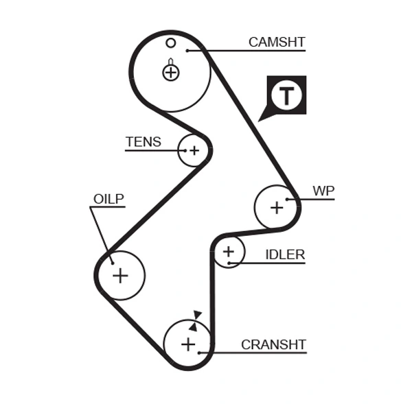 Timing Belt