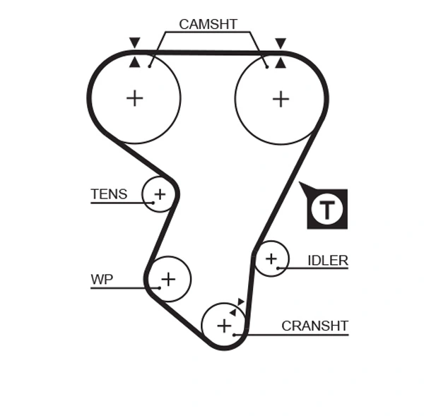 Timing Belt